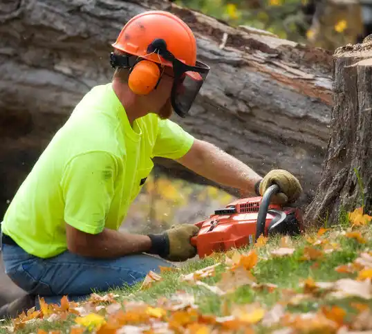 tree services Pompton Lakes